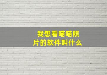 我想看喵喵照片的软件叫什么