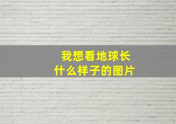 我想看地球长什么样子的图片