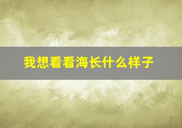 我想看看海长什么样子