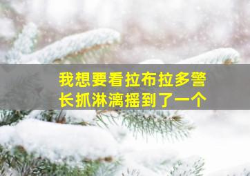 我想要看拉布拉多警长抓淋漓摇到了一个