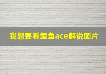 我想要看鲤鱼ace解说图片