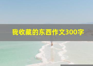 我收藏的东西作文300字