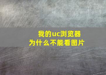 我的uc浏览器为什么不能看图片