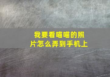 我要看喵喵的照片怎么弄到手机上