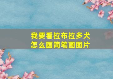 我要看拉布拉多犬怎么画简笔画图片