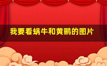 我要看蜗牛和黄鹂的图片