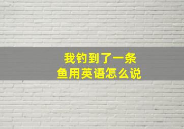 我钓到了一条鱼用英语怎么说