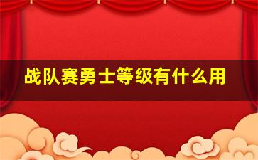 战队赛勇士等级有什么用