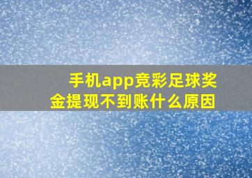 手机app竞彩足球奖金提现不到账什么原因