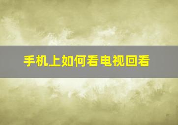 手机上如何看电视回看