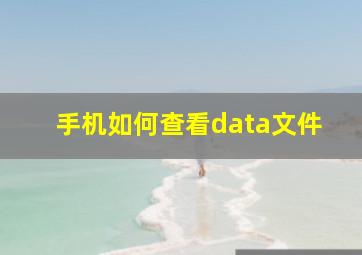 手机如何查看data文件