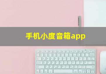 手机小度音箱app