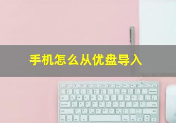 手机怎么从优盘导入