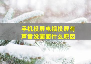 手机投屏电视投屏有声音没画面什么原因