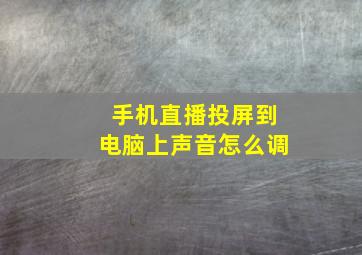 手机直播投屏到电脑上声音怎么调