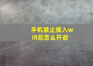 手机禁止接入wifi后怎么开启