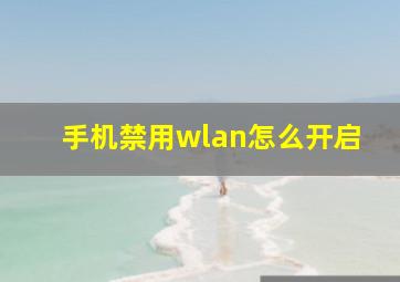 手机禁用wlan怎么开启