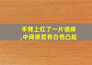 手臂上红了一片很痒,中间感觉有白色凸起