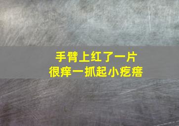 手臂上红了一片很痒一抓起小疙瘩