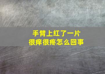 手臂上红了一片很痒很疼怎么回事