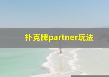 扑克牌partner玩法