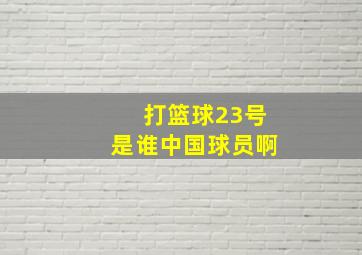 打篮球23号是谁中国球员啊