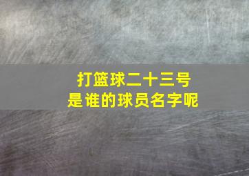 打篮球二十三号是谁的球员名字呢