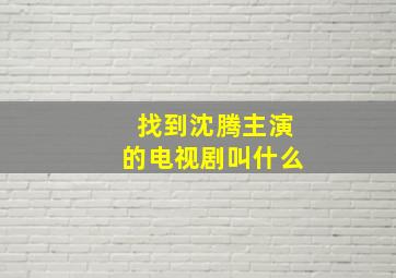 找到沈腾主演的电视剧叫什么