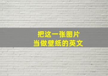 把这一张图片当做壁纸的英文