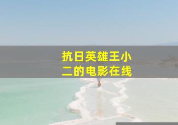 抗日英雄王小二的电影在线