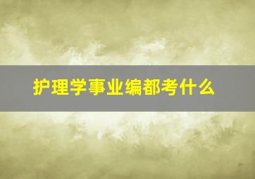 护理学事业编都考什么