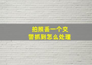 拍照丢一个交警抓到怎么处理