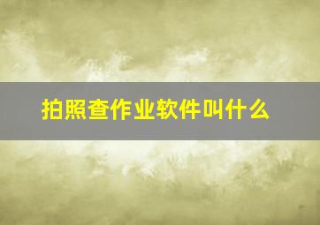 拍照查作业软件叫什么