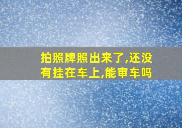 拍照牌照出来了,还没有挂在车上,能审车吗