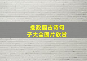 拙政园古诗句子大全图片欣赏