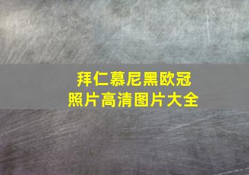 拜仁慕尼黑欧冠照片高清图片大全