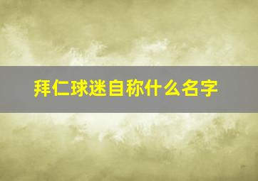 拜仁球迷自称什么名字