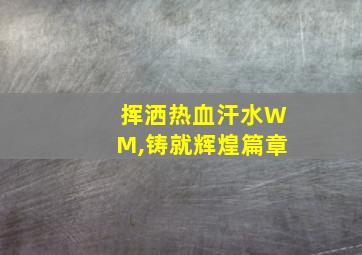 挥洒热血汗水WM,铸就辉煌篇章