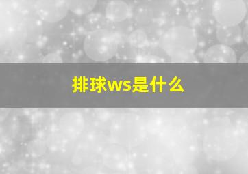 排球ws是什么