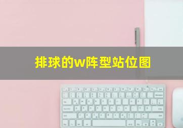 排球的w阵型站位图