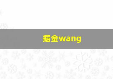 掘金wang