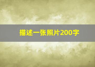 描述一张照片200字