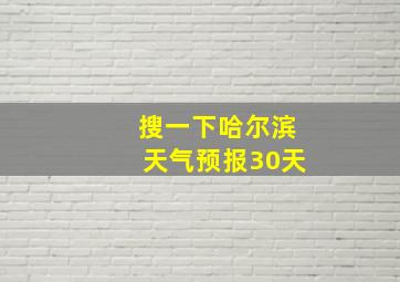 搜一下哈尔滨天气预报30天