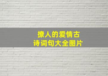 撩人的爱情古诗词句大全图片