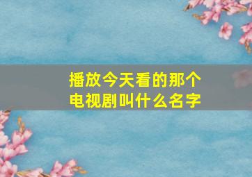 播放今天看的那个电视剧叫什么名字