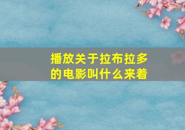 播放关于拉布拉多的电影叫什么来着