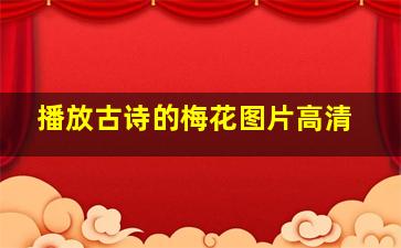 播放古诗的梅花图片高清