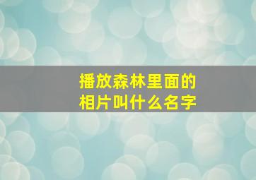 播放森林里面的相片叫什么名字