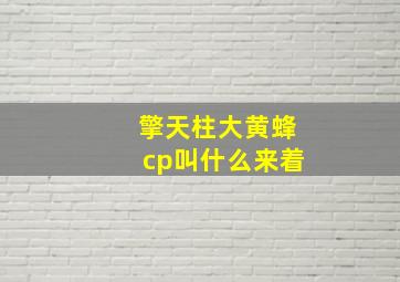 擎天柱大黄蜂cp叫什么来着