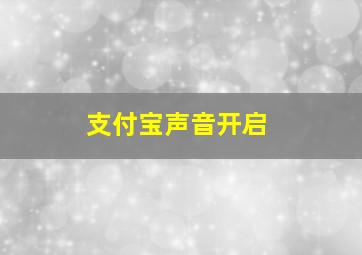 支付宝声音开启